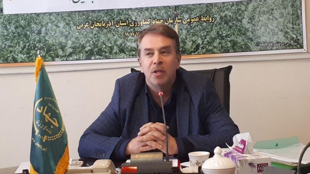 جهش در تولید محصولات کشاورزی در گرو توسعه کشت های گلخانه جهش در فراوری محصولات کشاورزی در گرو توسعه کشت های گلخانه ای است