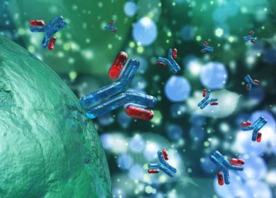 نانوبادی ها از ورود ویروس کرونا به سلول های بدن جلوگیری می نمایند