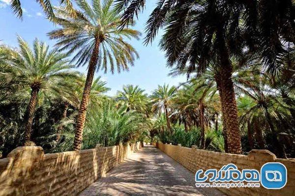 واحه العین منطقه ای خاص و کم نظیر در امارات است واحه العین منطقه ای خاص و کم نظیر در امارات است
