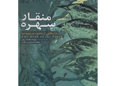 ترجمه رمان برگزیده جایزه پولیترز دربازار کتاب