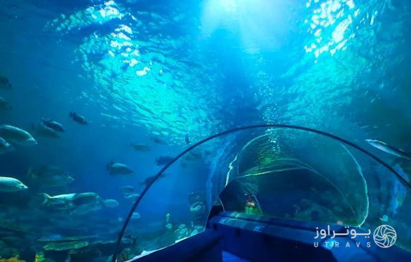 آکواریوم سی لایف استانبول آکواریوم سی لایف استانبول