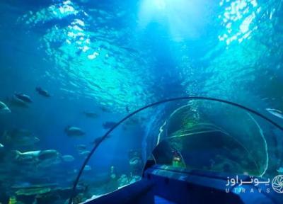 آکواریوم سی لایف استانبول